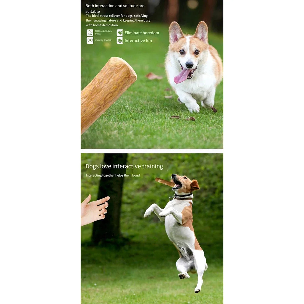 Natural Wooden Chew Stick™
